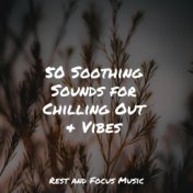 50 Soothing Sounds for Chilling Out & Vibes