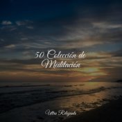 50 Colección de Meditación