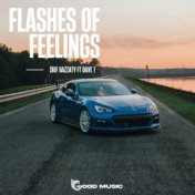 Flashes of Feelings
