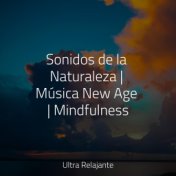 Sonidos de la Naturaleza | Música New Age | Mindfulness