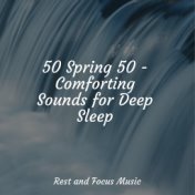 50 Spring 50 - Comforting Sounds for Deep Sleep