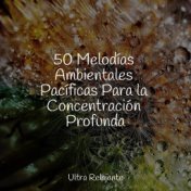 50 Melodías Ambientales Pacíficas Para la Concentración Profunda