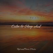 Calm & Sleep Aid