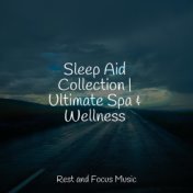 Sleep Aid Collection | Ultimate Spa & Wellness