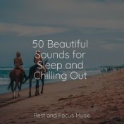 50 Beautiful Sounds for Sleep and Chilling Out