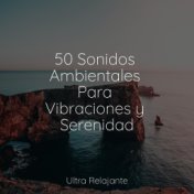 50 Sonidos Ambientales Para Vibraciones y Serenidad