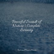 Peaceful Sounds of Nature | Complete Serenity