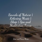 Sounds of Nature | Relaxing Music | Sleep | Spa and Meditation Focus