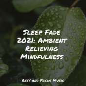 Sleep Fade 2021: Ambient Relieving Mindfulness