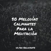 50 Melodías Calmantes Para la Meditación