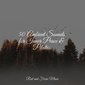 50 Ambient Sounds for Inner Peace & Pilates