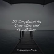 50 Compilation for Deep Sleep and Mindfulness