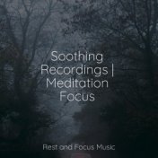 Soothing Recordings | Meditation Focus
