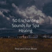 50 Enchanting Sounds for Spa Healing