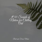 #50 Sounds of Nature for Chilling Out