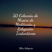 50 Colección de Música de Meditación y Relajación Instantánea