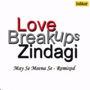 Love Breakups Zindagi (May Se Meena Se Remix)