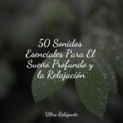 50 Sonidos Esenciales Para El Sueño Profundo y la Relajación