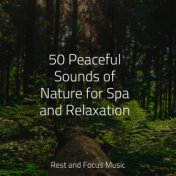 50 Peaceful Sounds of Nature for Spa and Relaxation