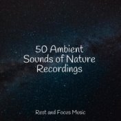 50 Ambient Sounds of Nature Recordings
