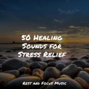 50 Healing Sounds for Stress Relief