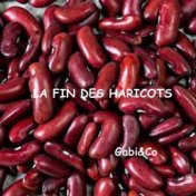La Fin des Haricots (Radio Edit 2023)