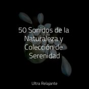 50 Sonidos de la Naturaleza y Colección de Serenidad