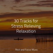 30 Tracks for Stress Relieving Relaxation