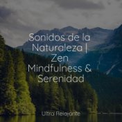 Sonidos de la Naturaleza | Zen Mindfulness & Serenidad