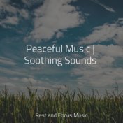 Peaceful Music | Soothing Sounds