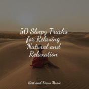 50 Sleepy Tracks for Relaxing Natural and Relaxation