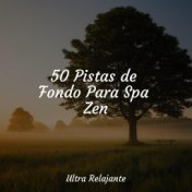 50 Pistas de Fondo Para Spa Zen