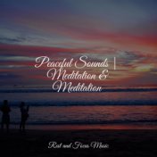 Peaceful Sounds | Meditation & Meditation