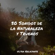 50 Sonidos de la Naturaleza y Truenos