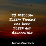 50 Mellow Sleepy Tracks for Deep Sleep and Relaxation