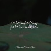 50 Peaceful Songs for Peace and Calm