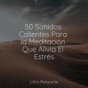 50 Sonidos Calientes Para la Meditación Que Alivia El Estrés
