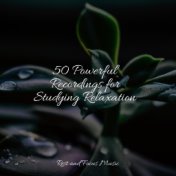 50 Powerful Recordings for Studying Relaxation