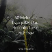 50 Melodías Tranquilas Para Reconfortarse en El Spa