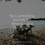 50 Comforting Sounds for Serenity and Relaxation