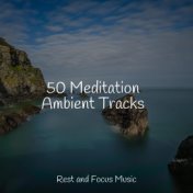 50 Meditation Ambient Tracks