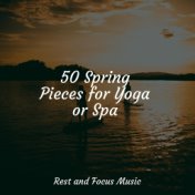 50 Spring Pieces for Yoga or Spa