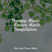 Therapy Music - Nature Music Compilation