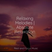 Relaxing Melodies | Absolute Relaxation