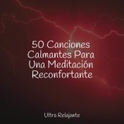 50 Canciones Calmantes Para Una Meditación Reconfortante