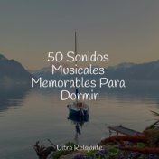 50 Sonidos Musicales Memorables Para Dormir