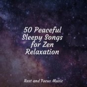 50 Peaceful Sleepy Songs for Zen Relaxation