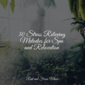 30 Stress Relieving Melodies for Spa and Relaxation