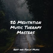 50 Meditation Music Therapy Masters