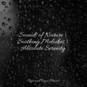 Sounds of Nature | Soothing Melodies | Absolute Serenity